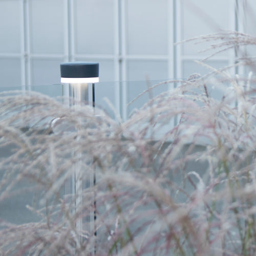 Im Fordergrund eine Pflanze im Hintergrund eine leuchtende ZQUARE Round